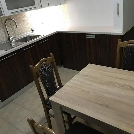 Apartment Stan Hrasno